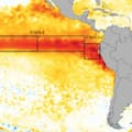 Subió a un 75% la probabilidad de que el fenómeno tenga una magnitud histórica, advierte un informe