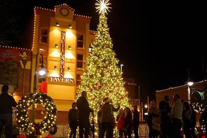 La ceremonia del encendido del árbol Navideño en Galveston