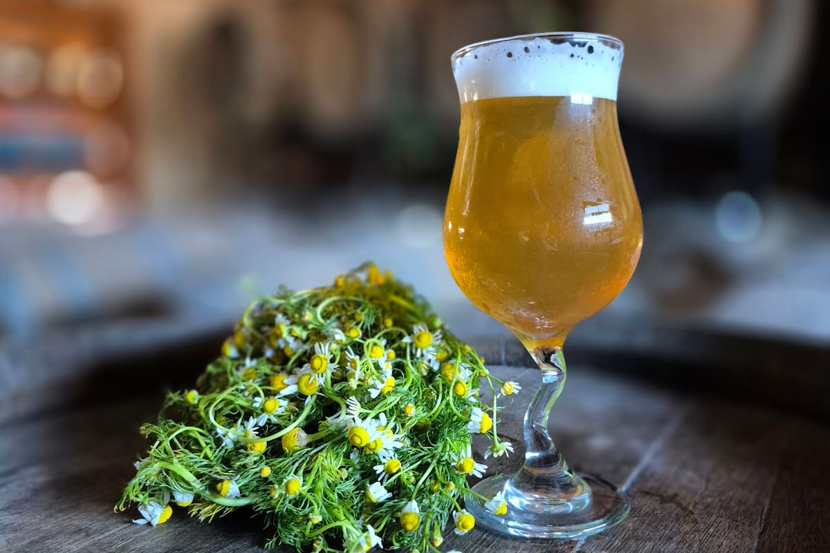 La cerveza belga es reconocida como Patrimonio Cultural Inmaterial de la Humanidad de la UNESCO