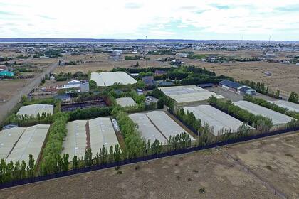 La chacra de Lázaro Báez en las afueras de Río Gallegos