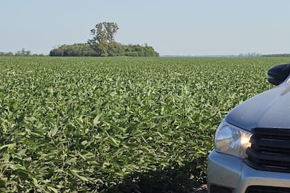 La china Sinograin vende total de soja en subasta antes de llegada de envíos de EEUU