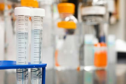 La ciencia está intentando determinar como continuará la evolución del hombre