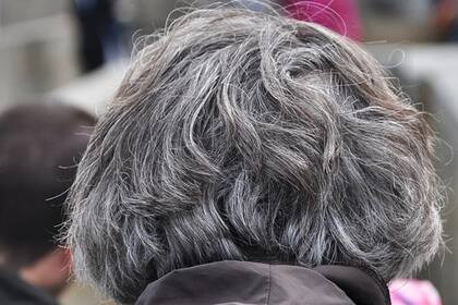 La ciencia revela una gran incógnita