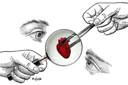 La ciencia y los organoides