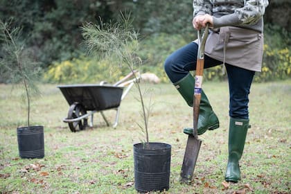 La cifra que reciben los caseros en junio de 2025
