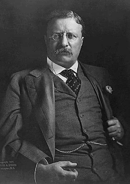 La cita del día de Theodore Roosevelt nos recuerda que siempre podemos dar un primer paso hacia nuestras metas, incluso cuando las circunstancias no son perfectas