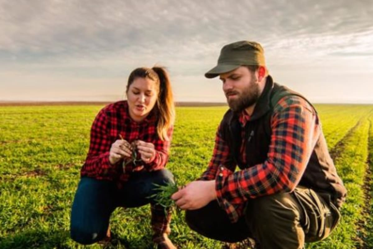 La cita se dará por la web de Expoagro