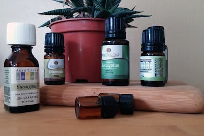 La citronela se usa para diferentes productos para realizar esta tarea, como insecticidas, pulseras y formulas para el cuerpo.