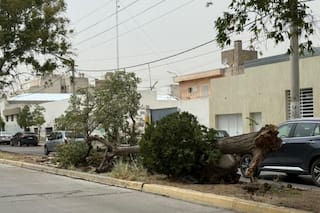 Trelew bajo alerta naranja por fuertes vientos: recomiendan no salir de casa