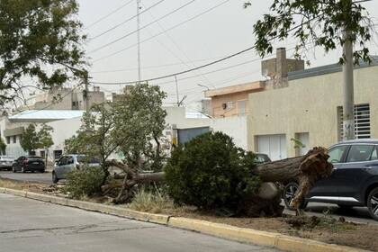 La ciudad chutense se encuentra bajo alerta por los fuertes vientosa (Foto: Canal 12)