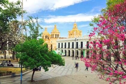 La ciudad de Córdoba, junto con Bell Ville, San Francisco y Villa María concentran la mayor cantidad de infectados de dengue en la provincia