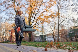 El proyecto de ley en Filadelfia que busca prohibir esta práctica común para limpiar los jardines