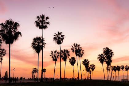 La ciudad de Los Ángeles, en California, se encuentra entre las que experimentaron un retroceso en la clasificación.