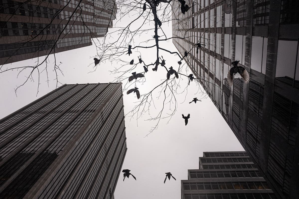 La ciudad de Nueva York, impulsada durante mucho tiempo por el flujo de viajeros hacia sus imponentes edificios de oficinas, enfrenta un desafío catastrófico, incluso cuando la pandemia termine