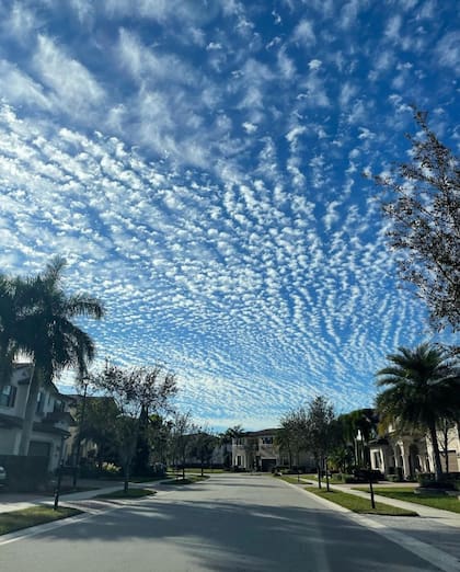 La ciudad de Parkland, Florida, la única incluida entre las 50 más ricas del país