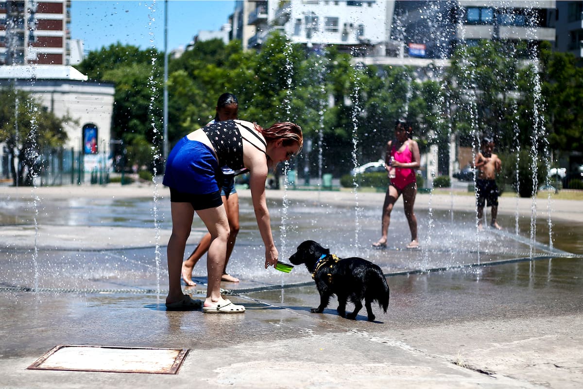 La Ciudad le reclamó a los dos empresas distribuidoras de energía y al ENRE que provean los servicios eléctricos como corresponde