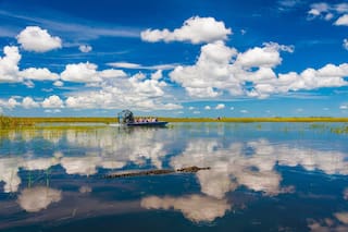 Cocodrilos, pantanos y aventura en los Everglades