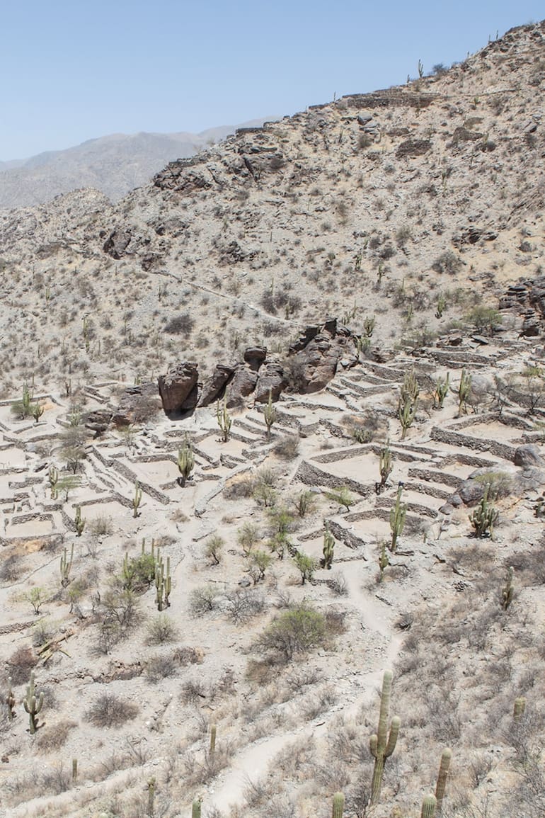 La Ciudad Sagrada se levantaba a lo alto de la ladera del cerro.