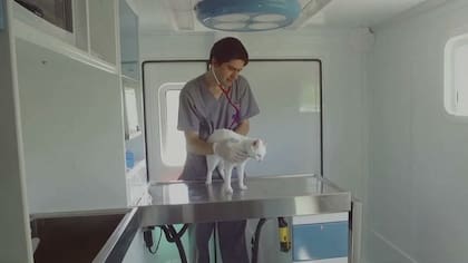 El 6 de agosto es el Día del Veterinario