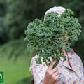 Las verduras que logran su punto máximo de sabor en invierno