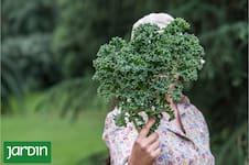 Las verduras que logran su punto máximo de sabor en invierno