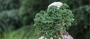 Las verduras que logran su punto máximo de sabor en invierno