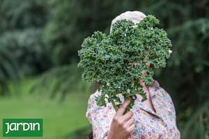 Las verduras que logran su punto máximo de sabor en invierno