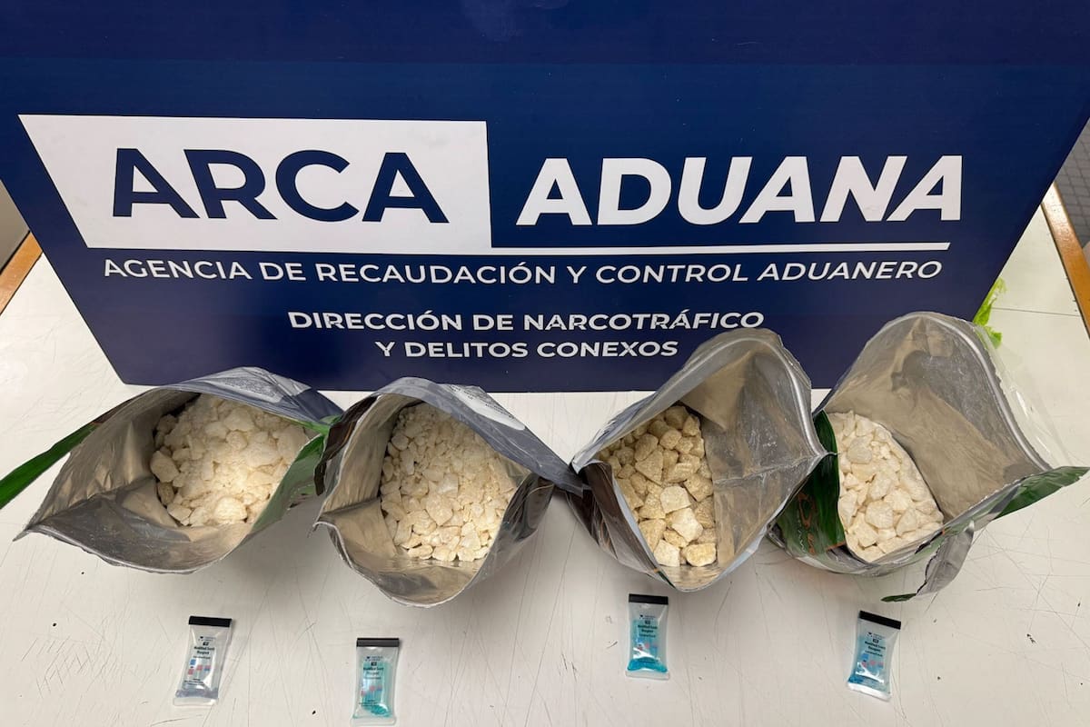 La cocaína estaba oculta en envases plásticos que simulaban tener hongos