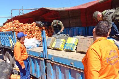 La cocaína iba oculta adentro del cargamento de calabazas