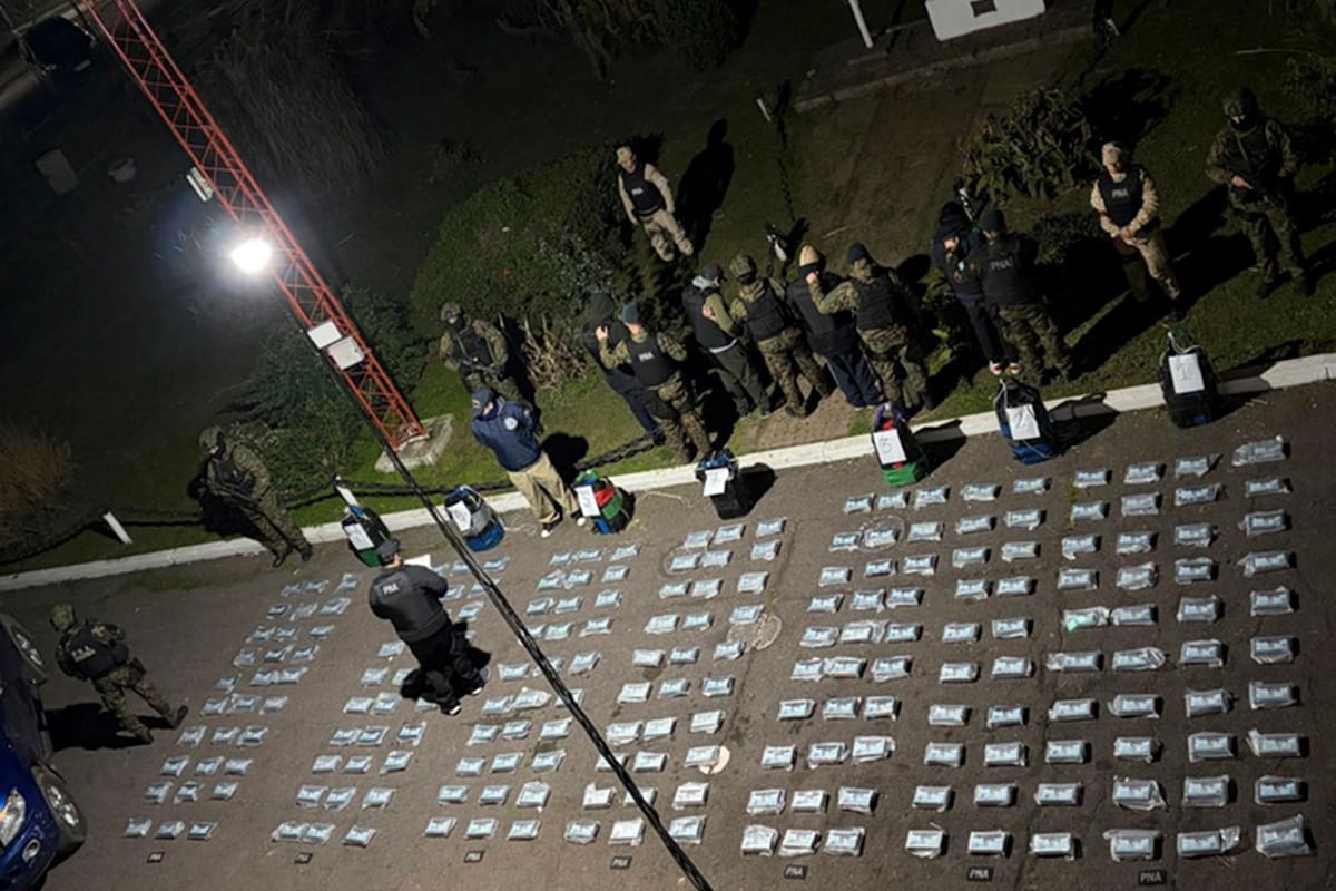 La cocaína secuestrada por