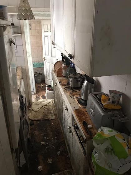 La cocina antes de la limpieza extensa