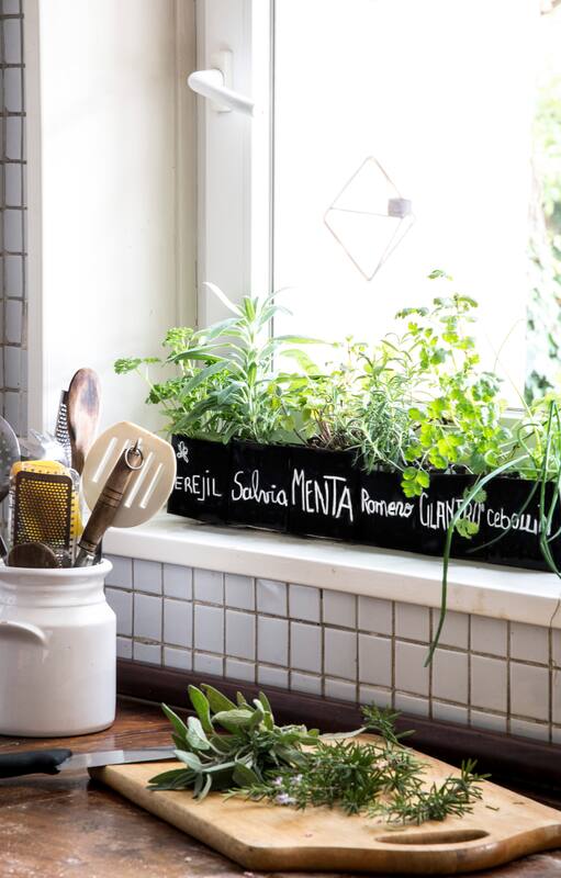 La cocina y su huerta