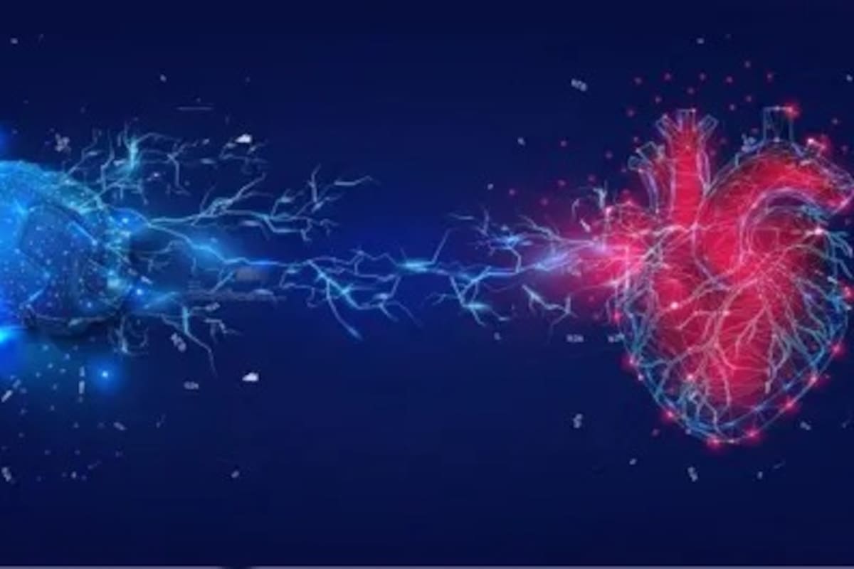 La coherencia cardíaca se consigue alineando tres instancias: primero sentir, luego pensar y finalmente actuar