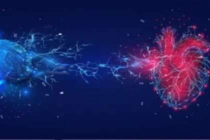 La coherencia cardíaca se consigue alineando tres instancias: primero sentir, luego pensar y finalmente actuar