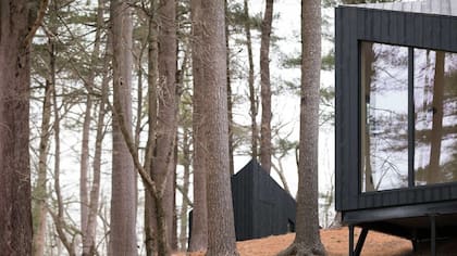 La colección moderna de casas diminutas "Niwa" ofrece opciones accesibles para los ciudadanos estadounidenses