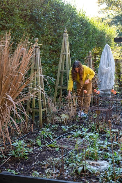 La colocación de tutores en esta época permite adelantarse al desarrollo de las plantas y evitar problemas futuros