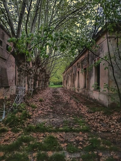 La colonia-hogar que llegó a albergar hasta 800 niños