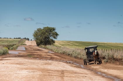 La colonia La Nueva Esperanza está a 35 km de Guatraché.