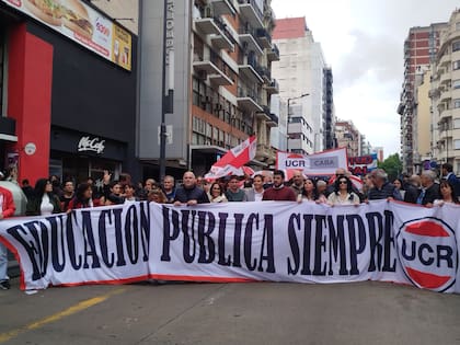 La columna de la UCR, en la marcha universitaria