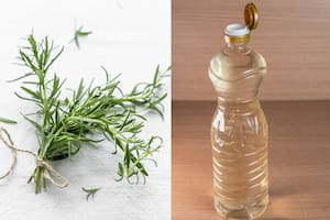 La combinación de estos ingredientes brinda soluciones para el hogar (Foto: Freepik)