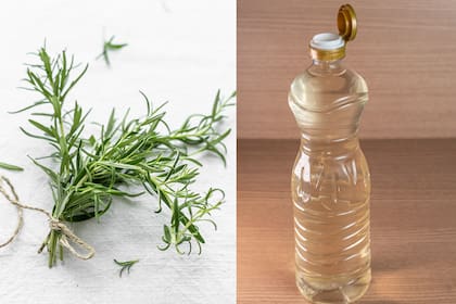 La combinación de estos ingredientes brinda soluciones para el hogar (Foto: Freepik)