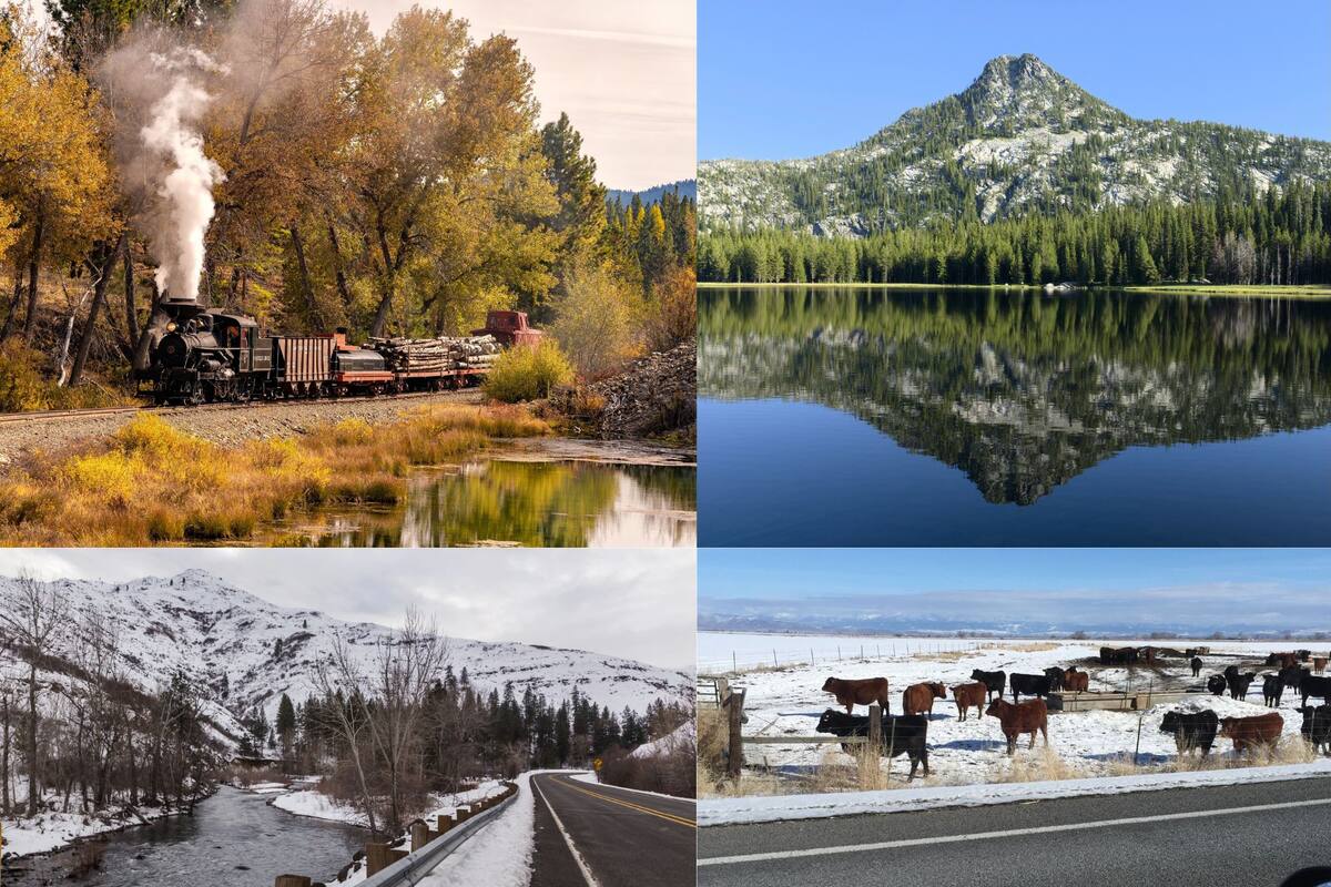 La combinación de oportunidades, una comunidad acogedora y un entorno natural impresionante hacen de este pueblo un lugar ideal para quienes buscan un cambio de vida (Expedia)