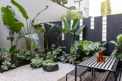 La combinación de verdes y blancos que le da vida al patio