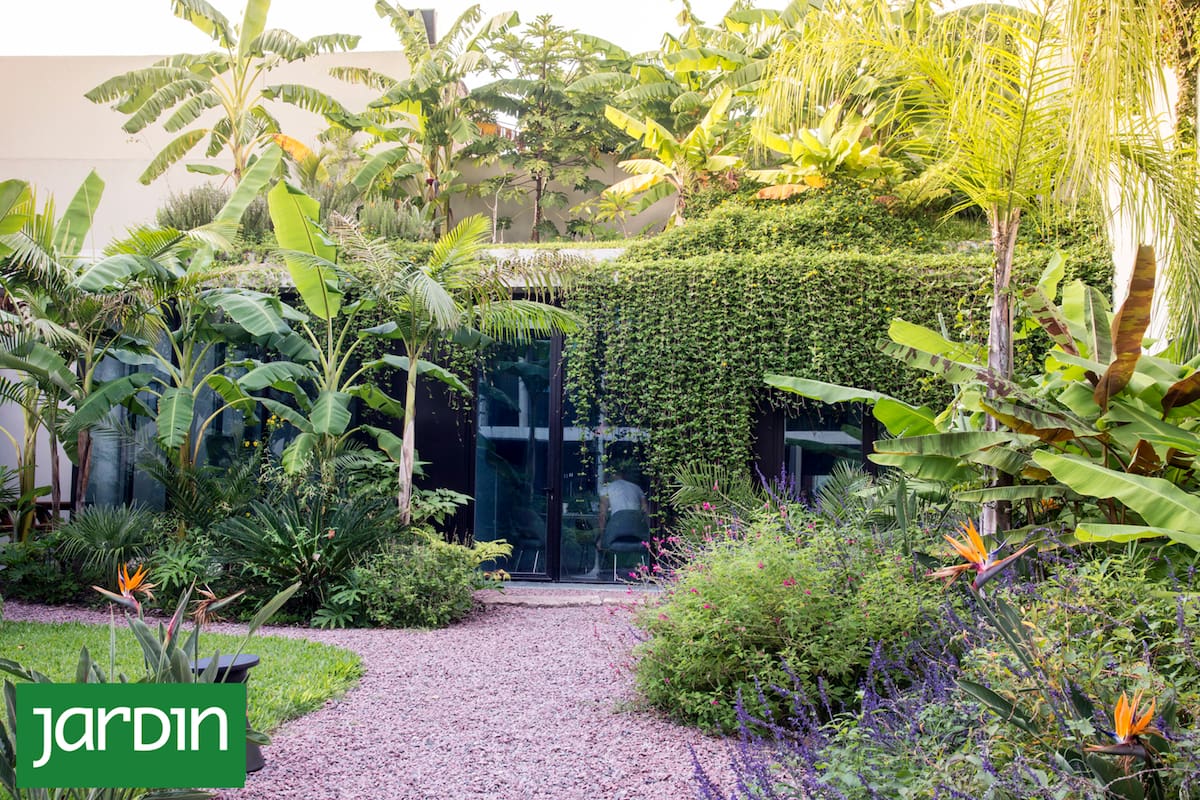 La combinación entre arquitectura y naturaleza —entre lo rígido y lo efímero— convierte balcones en refugios, galerías en oasis y fachadas rectilíneas en lienzos vivos