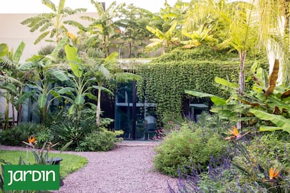 La combinación entre arquitectura y naturaleza —entre lo rígido y lo efímero— convierte balcones en refugios, galerías en oasis y fachadas rectilíneas en lienzos vivos