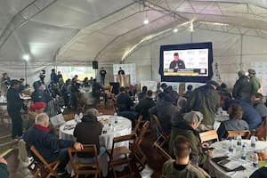 Con más operadores, se realizó un nuevo remate de exportación del Mercado Agroganadero