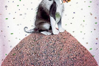 La comida para mascotas mueve un negocio de $22.000 millones y 3500 trabajadores