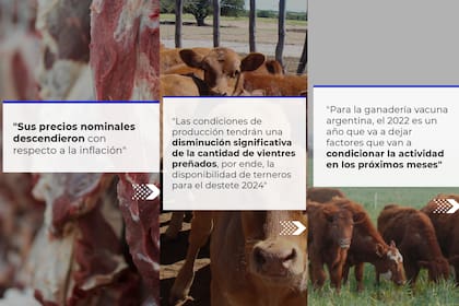 La Comisión alertó sobre el estado en el que está la actividad