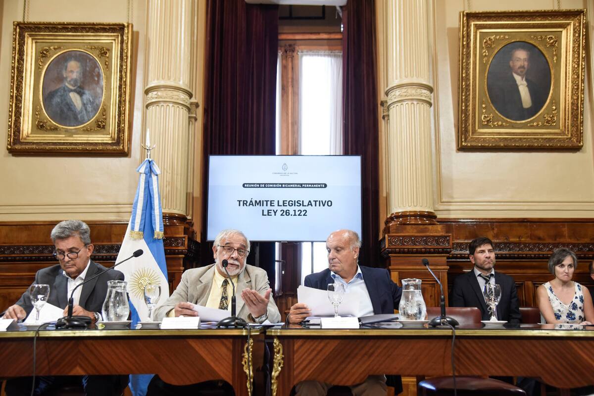 La comisión bicameral de trámite legislativo, que preside el senador Juan Carlos Pagotto