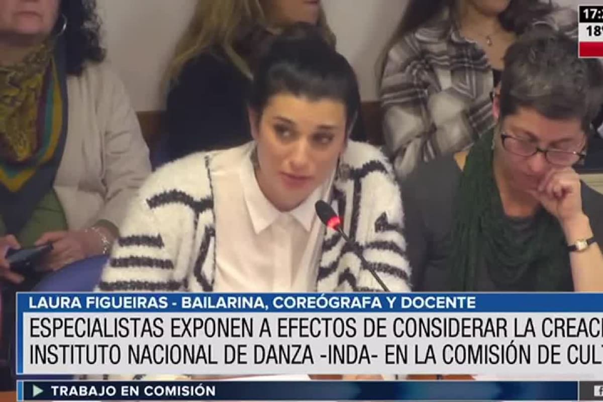 La Comisión de Cultura inició con expositores el debate sobre una ley nacional de danza.